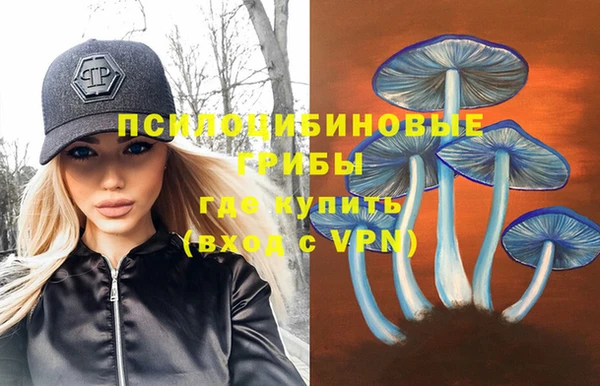 трава Переславль-Залесский