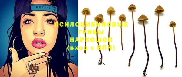 трава Переславль-Залесский