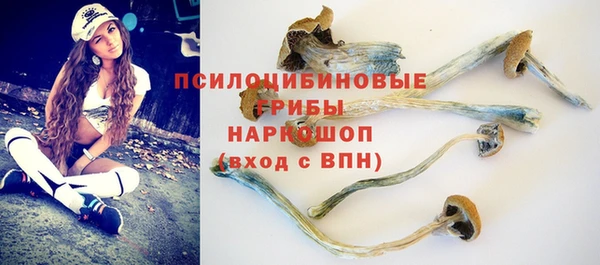трава Переславль-Залесский